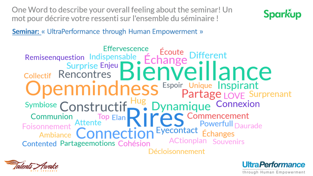 ultraperformance The_Art_Of_Ultraperformance ultra-performance human_empowerment epanouissement_humain human decideurs decision-makers tribe tribu motivation depassement transformation innovation chaos performance harmonie management leadership commitment engagement harmony universal_responsibility responsabilité_universelle shiftyourbrain brainshift conférencier speaker seminar séminaire marc-amerigo